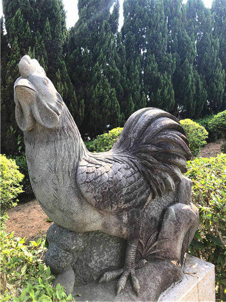 鸡